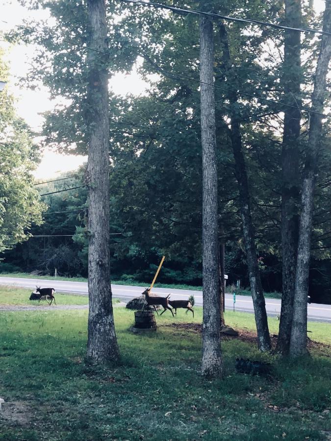 Amazing Poconos House . Sauna/Hot Tub/Private Pool East Stroudsburg Eksteriør bilde